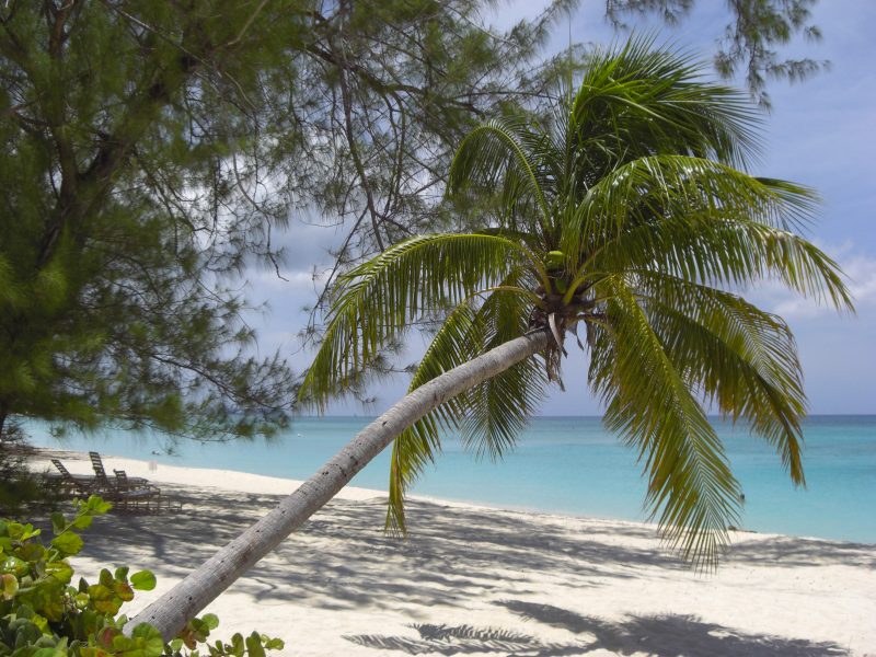 Playa de las Siete Millas en las Islas Caimán, ranking tripadvisor playas, mejores playas del mundo 2019, las 10 mejores playas del mundo segun tripadvisor