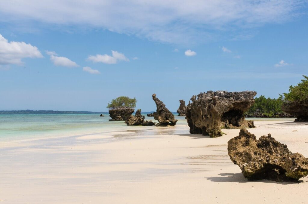 Isla de Pemba - Que ver en Zanzibar