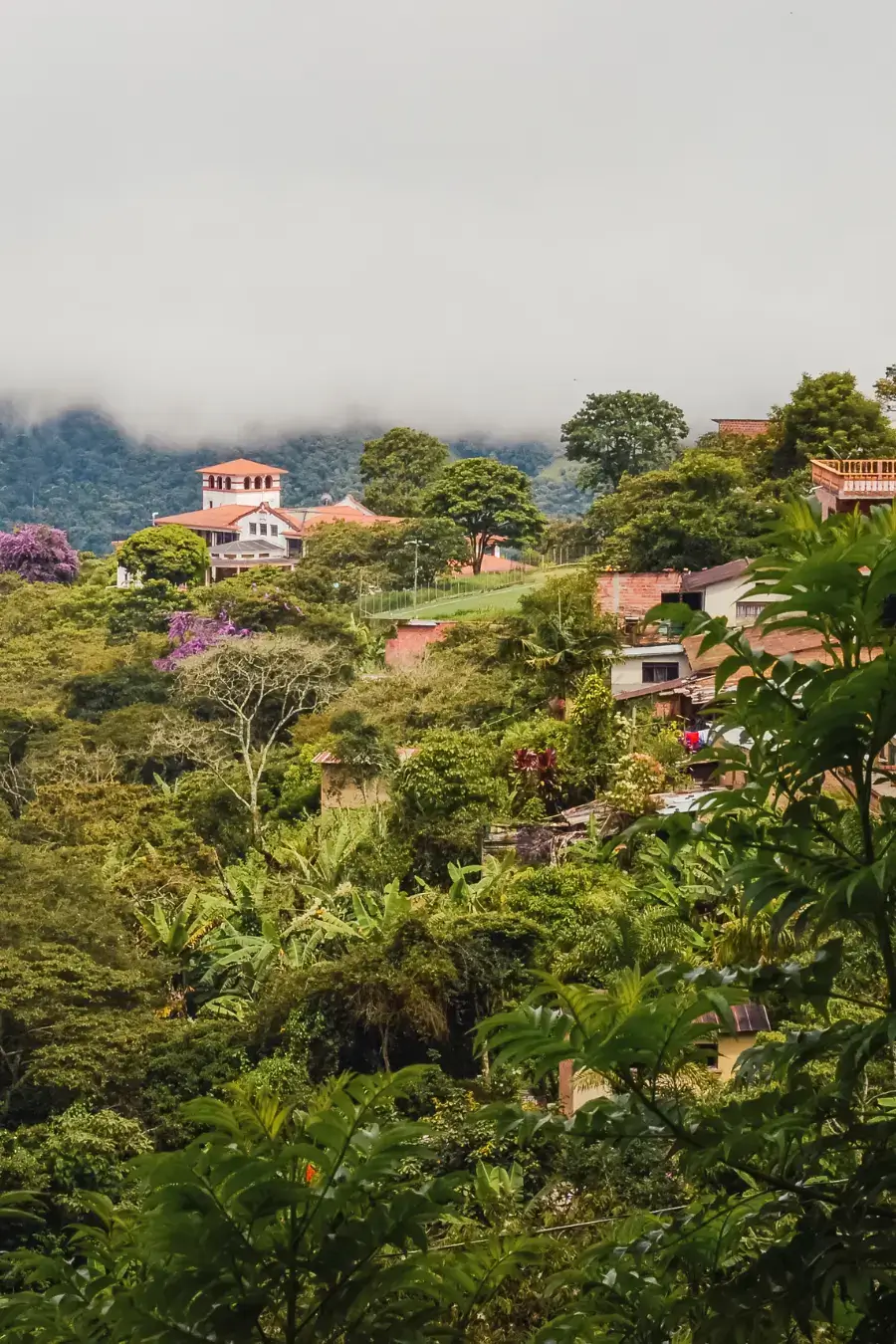 Casas entre vegetación tropical en la ladera de un pueblo de Bolivia