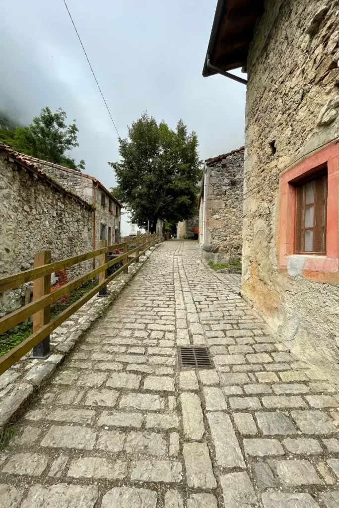 Bulnes del Castillo