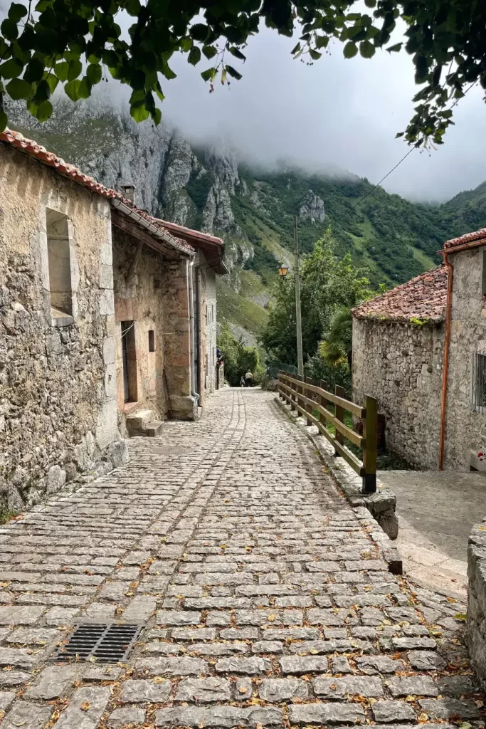 Bulnes del Castillo