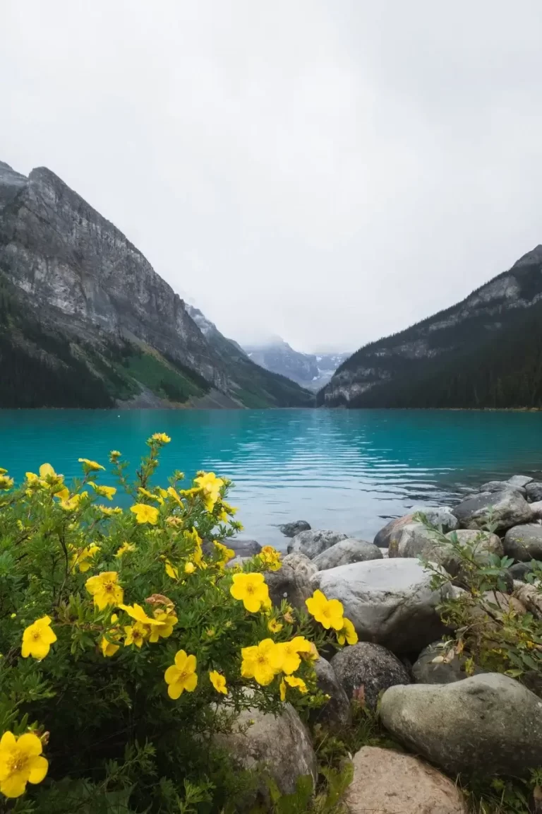 20 cosas que ver y hacer en el Parque Nacional Banff