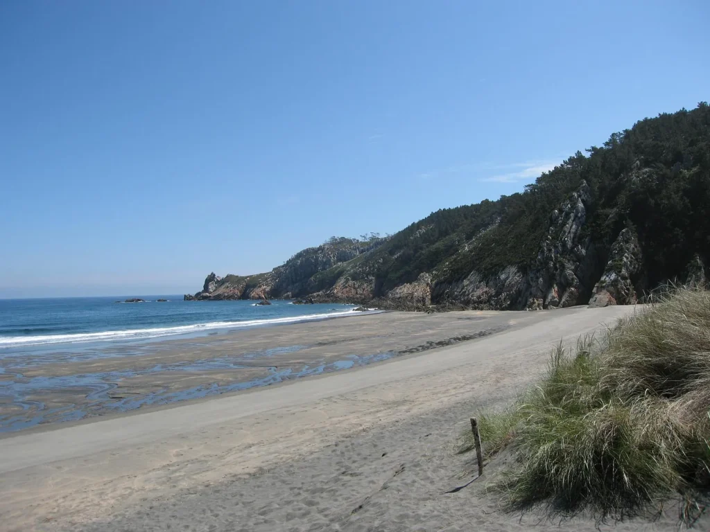 Playa de Barayo, con dunas y el acantilado cubierto de bosque
