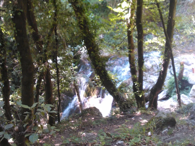 Bosque y arroyo en la Valle delle Ferriere, sobre Amalfi
