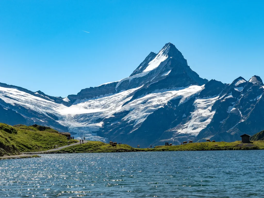 El lago Bachalpsee con el Schreckhorn nevado detrás