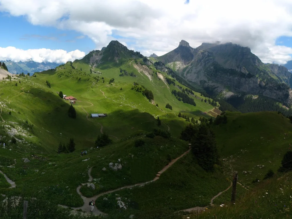 Prados y cumbres de la Schynige Platte con las montañas nevadas al fondo